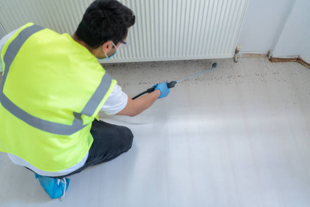 Best Real Estate Pest Inspections  in Kaibito, AZ